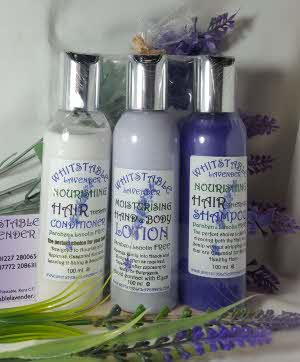 Lavender Shampoo with Lavender Conditioner with Lavender Hand and Body Lotion 100ml Gift Pack