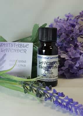 Lavender Essential Oil - Includes Free Shipping